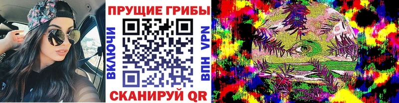 Псилоцибиновые грибы прущие грибы  как найти   Дятьково 